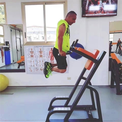 Vertical Kness Up/Dip Steel Material Gym Trainer Equipment for Ultimate Bodybuilding