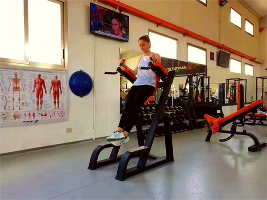 Vertical Kness Up/Dip Steel Material Gym Trainer Equipment for Ultimate Bodybuilding