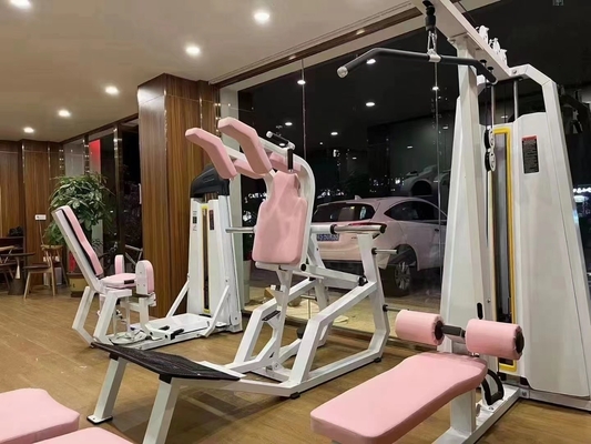 Instant Weight Adjustable Steel Hack Squat Machine for Leg Exercise in Commercial Gym