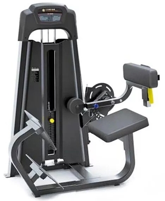 Back Extension Machine Fitness Equipment for Gym Training and Bodybuilding Exercise