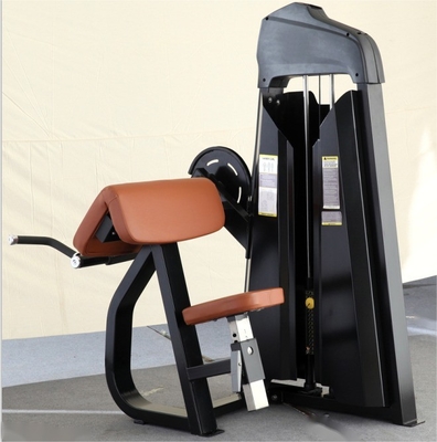 Optional Selectable Befreeman Popular Commercial Fitness Equipment Steel Seated Camber Curl Medium Loader