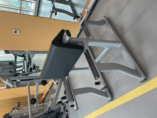 1170*800*1080 mm Arm Curl Bench for Biceps Curl Pin Load Selection Machines at Gym