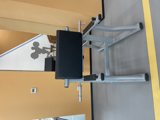 1170*800*1080 mm Arm Curl Bench for Biceps Curl Pin Load Selection Machines at Gym