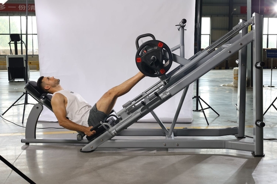 Universal Function Plate Loaded Linear Leg Press Hack Squat for Strength Training
