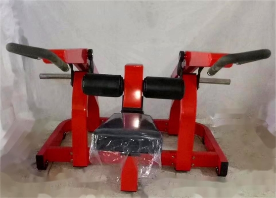 Steel Plate Loaded Biceps Fitness Equipment for Strength Training and Body Building