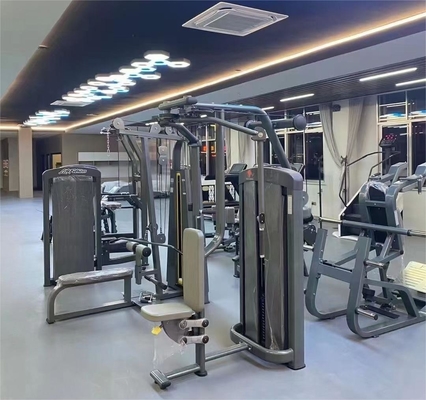 Commercial Fitness Gym Pin Loaded Pectoral Fly Machine for Rear Delt and Chest Fly
