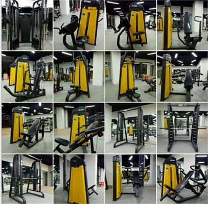 Universal Medium Loader Steel Seated Leg Curl Machine for Gym Training Pin Load Selection