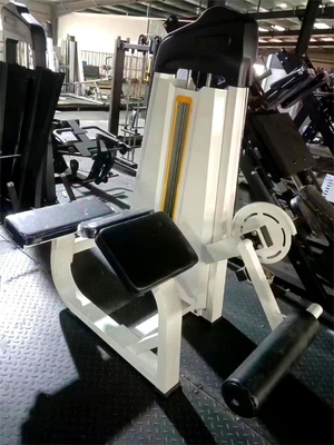 Universal Steel Seated Prone Leg Curl Gym Training Equipment for Bodybuilding Fitness