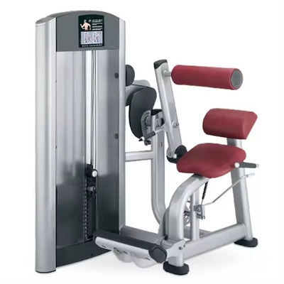 Fitness Exercise Body Adjustable Back Extension Machine Pin-Loaded Abdominal Trainer