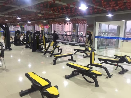 Fitness Exercise Body Adjustable Back Extension Machine Pin-Loaded Abdominal Trainer