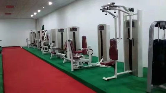 Commercial Gym Equipment Adjustable Back Exercise Machine with 1500*1200*1750 mm Size
