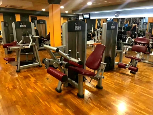 1500*1300*1750 mm Pin-Loaded Gym Equipment Seated Abdominal Trainer for Effective Workouts