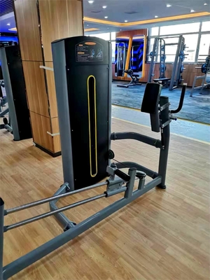Logo Customized Logo Availabled Kickback Glute Machine for Commercial Fitness Centers