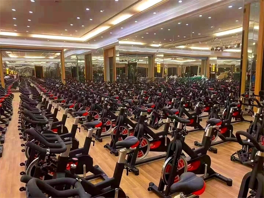 18kg Flywheel Gym Equipment for Commercial Cardio Training and Body Strengthening