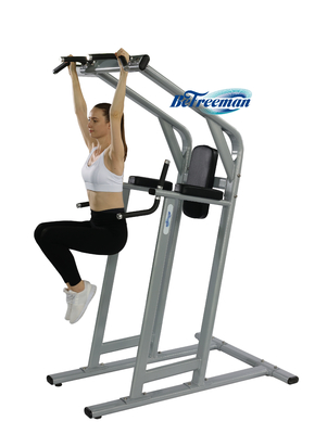Steel Commercial Fitness Equipment Chin-Dip Leg Raise Assisted Chin Dip Machine 1490*1120*2370
