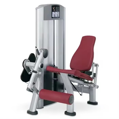 Steel Seated Leg Extension Machine Ideal for Medium Loaders' Quadriceps Shins Training