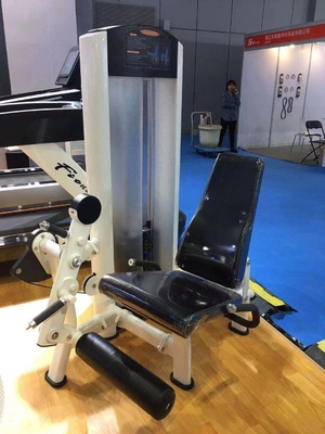 Steel Seated Leg Extension Machine Ideal for Medium Loaders' Quadriceps Shins Training