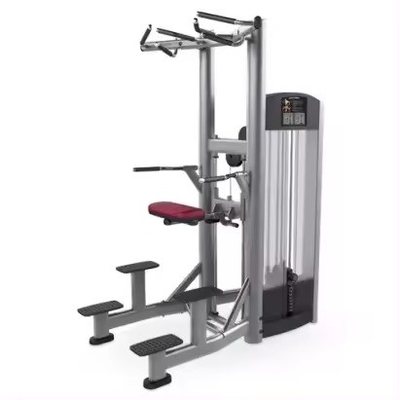 Pull-up Bar and Dipping Machine for Triceps Deltoids Workout Using Fitness Sport Functio