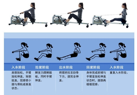 Unisex 35kg Indoor Folding Seated Air Rowing Machine Top Choice for Cardio Workouts