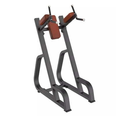 Vertical Knees Up/Dip Gym Equipment with Customized Design and Steel Material