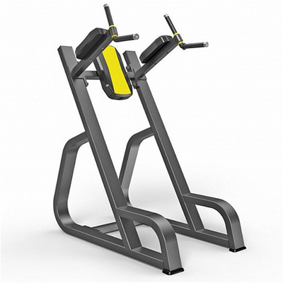 Vertical Knees Up/Dip Gym Equipment with Customized Design and Steel Material