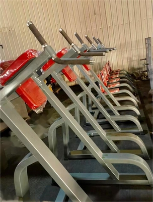 Vertical Knees Up/Dip Gym Equipment with Customized Design and Steel Material