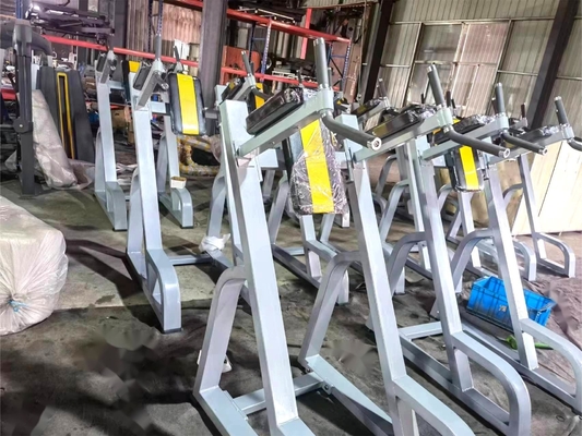 Vertical Knees Up/Dip Gym Equipment with Customized Design and Steel Material