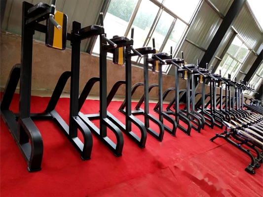 Vertical Knees Up/Dip Gym Equipment with Customized Design and Steel Material