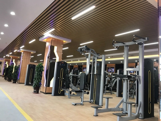 Multi-Function Smith and Squat Rack for Gym Exercise with Adjustable Weight Selection