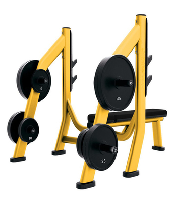 Customized Logo Availabled Weight Bench for Home Gym Fitness Equipment in Bulk