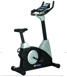 Customizable Frame Color Befreeman Magnetic Upright Exercise Bike for Cardio Training