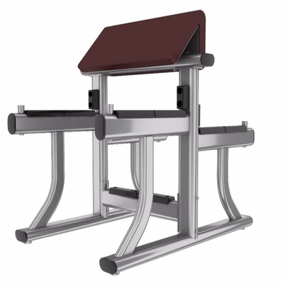 Steel Arm Curl Bench for Biceps Curl Gym Equipment 1170*800*1080 mm