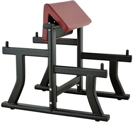 Steel Arm Curl Bench for Biceps Curl Gym Equipment 1170*800*1080 mm