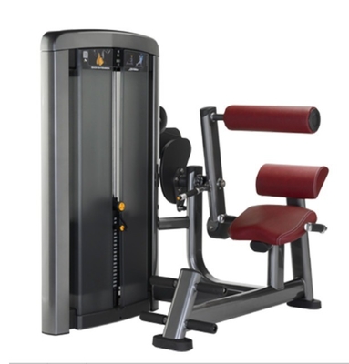 Direct Seated Back Extension Trainer for Muscle Strength Training Pin Load Selection