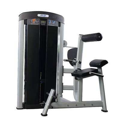 Direct Seated Back Extension Trainer for Muscle Strength Training Pin Load Selection