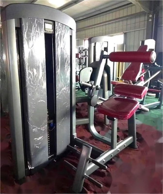 Direct Seated Back Extension Trainer for Muscle Strength Training Pin Load Selection