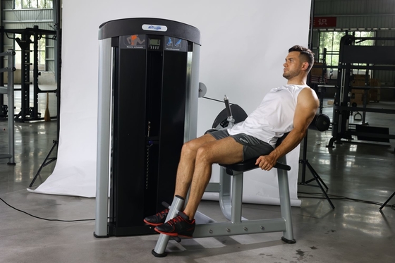 Direct Seated Back Extension Trainer for Muscle Strength Training Pin Load Selection