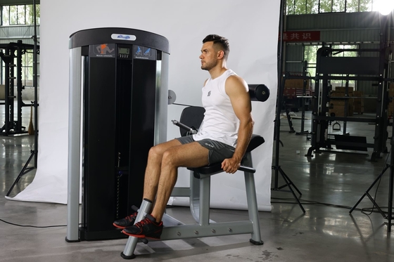 Direct Seated Back Extension Trainer for Muscle Strength Training Pin Load Selection
