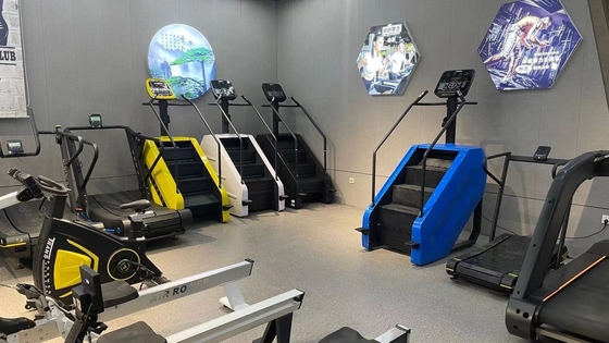 Customized Logo Availabled Stepper Machine for Strength Training at Commercial Facility
