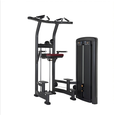 Upgrade Your Workout Routine with Pin Load Selection Machines in Strength Trainer Gym