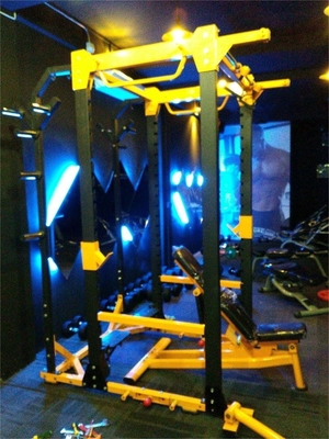 Bodybuilding Functional Trainer Machine with Q235 Rectangular Tube Steel and Materials