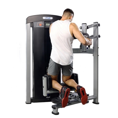 Medium Loader for Torso Rotation Training Fitness Bodybuilding Exercise Function
