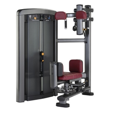 Medium Loader for Torso Rotation Training Fitness Bodybuilding Exercise Function