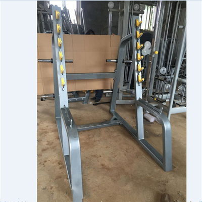 Optional Selectable Frame Color Squat Rack Gym Fitness Equipment for Exercise Muscle