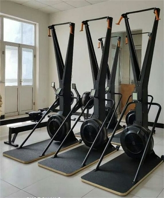 Gym Equipment Ski Machine for Cardio Fitness Training Frame Color Optional Selectable