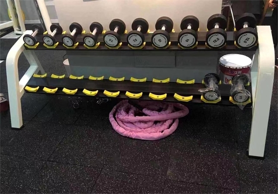 Indoor Dumbbell Rack for Weight Training Cable Weight Stacks Drive Fitness Equipment
