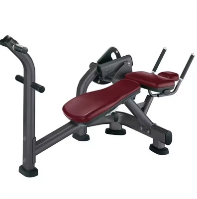 Strength Training Equipment Adjustable Bench for Back Extension and ABS Machine