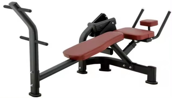 Strength Training Equipment Adjustable Bench for Back Extension and ABS Machine
