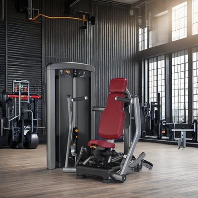 Commercial Gym Equipment Seated Incline Chest Press with Customized Logo Availabled