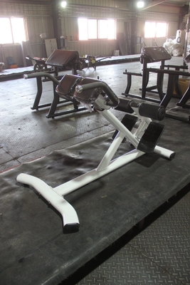 Medium Loader Adjustable Back Extension Roman Chair for Abdominals and Back Exercise